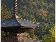 nukunuku̖@؎R掛̓eʐ^4