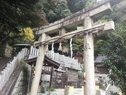 Sakamoto119̋RQ_Ђ̓eʐ^10