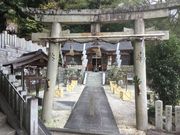 Sakamoto119̋RQ_Ђ̓eʐ^11