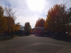 ジンさんの都立赤塚公園の投稿写真1