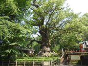 C[XgEbh̊̑NX(ʓVRLOj̓eʐ^2