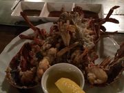 sunãTYAJ[CEXpX̓eʐ^1