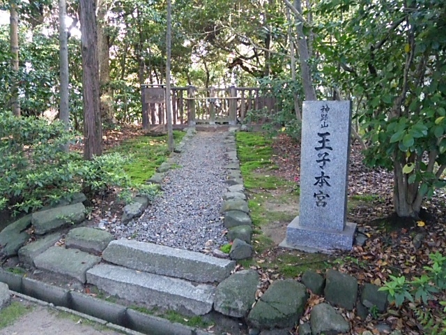 ֋q{{ƂBVcqƌĂԗR͕s_{_