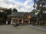 Sakamoto119̗c_Ђ̓eʐ^7