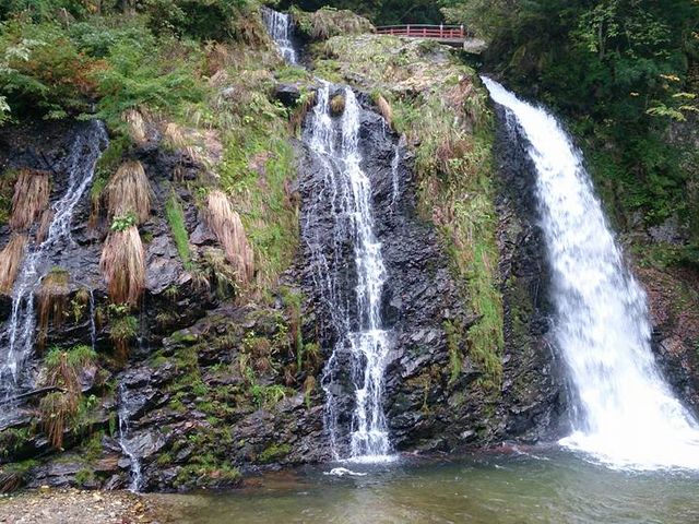 ��R�V����_��R�V����