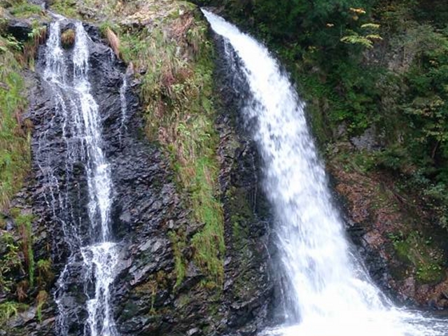 ��R�V����_��R�V����