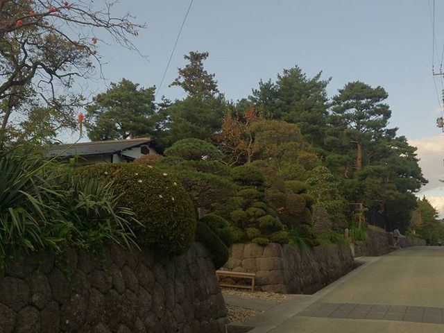 ���Ɖ��~_���Ɖ��~