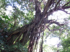 IIõKK[̒Jւ̓eʐ^1