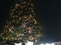 ���܂���������̑�X�ؑ��̈�قւ̓��e�ʐ^1