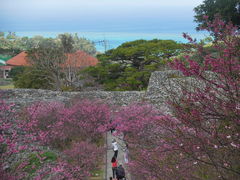 LOTTY̍AmՂւ̓eʐ^1