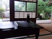 n񂳂̏uv̕uOcƕʓ@viΊفj̓eʐ^2