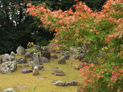 񂿂񂳂̓ʖIь@V喼뉀̓eʐ^1