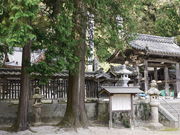 sklfh̔R?_(R_)̓eʐ^1