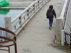 ��₳��̉F����i��ނ�j�ւ̓��e�ʐ^1