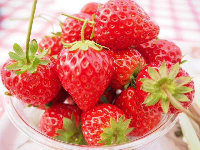 �Â��C�`�S����R_Eitoku Farm �������� �y�舤�`���Ƃȁ`�z