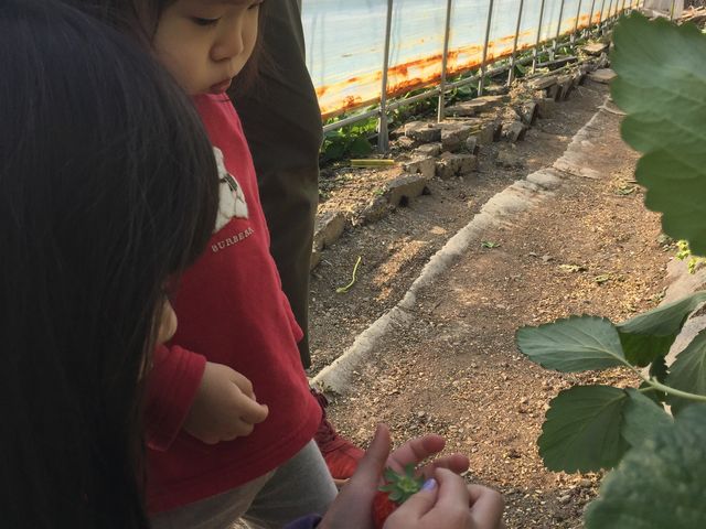 ���ǂ₢������艀