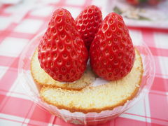 おまけのロールケーキに乗せて♪_Eitoku Farm いちご園 【瑚愛～ことな～】