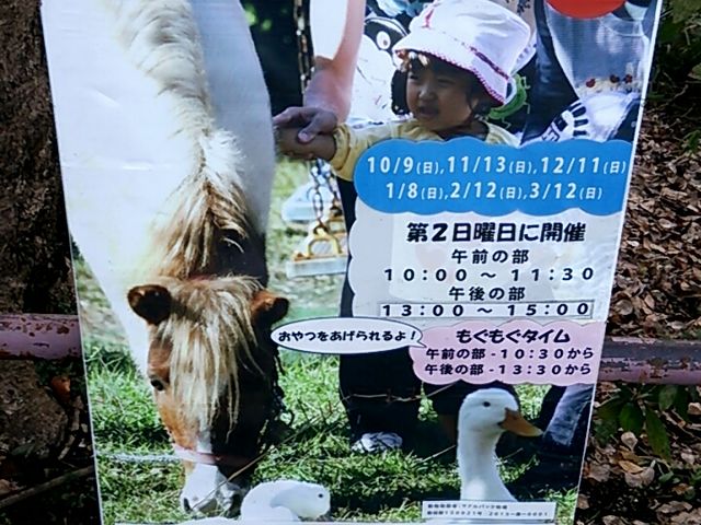 ���c���邱�ǂ��V���n_�隬�������ǂ��V���n