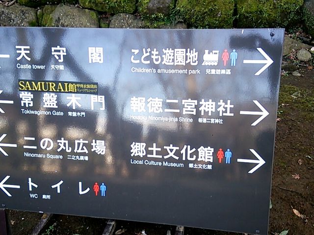 ���c���邱�ǂ��V���n_�隬�������ǂ��V���n