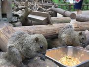 ݂݂̒ctrlGʂ̓mڂ񉀁icڂ񉀁j̓eʐ^1