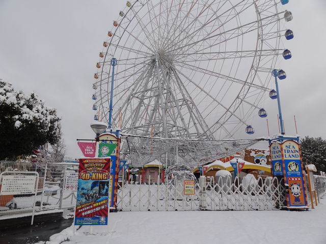 ���É��`�V�[�g���C�������h