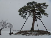 gV[̓|iω˂̒nj̓eʐ^1