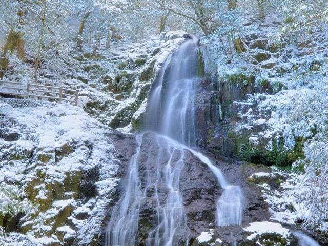 白糸の滝 2025年 白糸の滝 - 出発前に知っておくべきことすべて