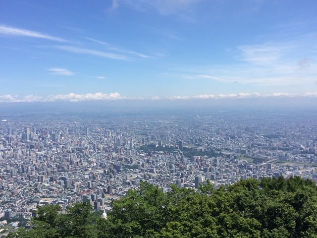 2015�N08�� �ւƂւƂȂ�����o���B���w�Z�̍��A�ق�Ƃɓo���Ă����̂��Ȏ��c�B_������R���[�v�E�F�C