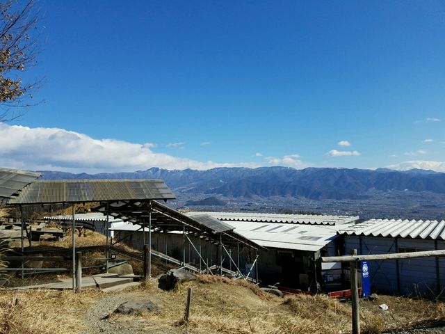 ����Ă�ƌi�F�͍ō�_�ق����炩������