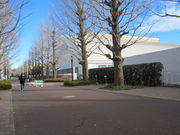 5525̏a̐X傤؂̓eʐ^1