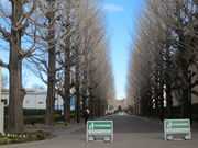 5525̏a̐X傤؂̓eʐ^3