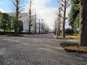 5525̏a̐X傤؂̓eʐ^4