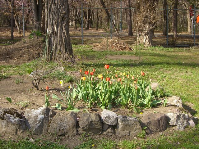 �ق̑O�ɉԔ�������܂���_�A�����ȋL�O�فu�X��̉Ɓv