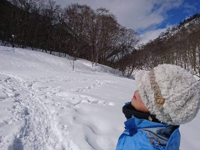 VCōIlŊycA[łB_tHXgEH[^[@݂Ȃ݃x[X