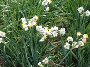 ���݂�����̐�������̓��e�ʐ^4