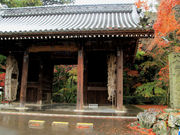 񂿂񂳂̑82ԎD@̓eʐ^2