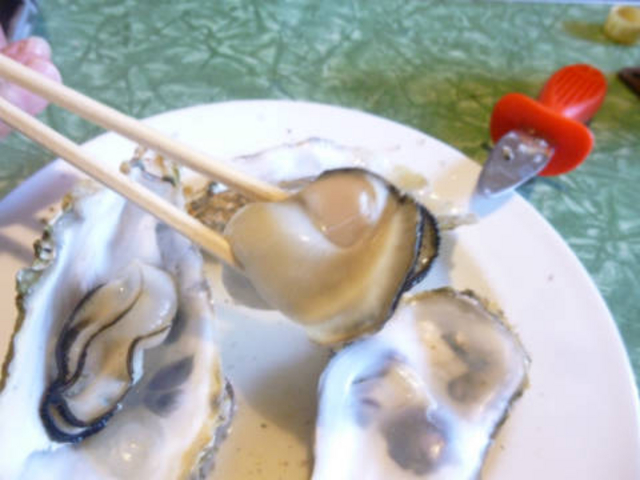 嗱̏y_GNZJk[cA[YɐuX