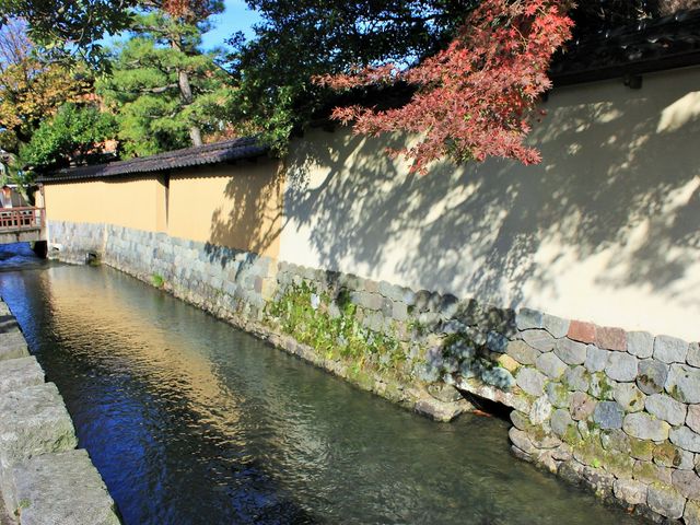 �������Ɖ��~��