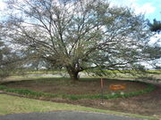 komỏ썑򎛐Ղ̓eʐ^4