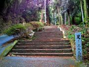 kingtut̑10ԎD xR 󒸉@ ؔ̓eʐ^4