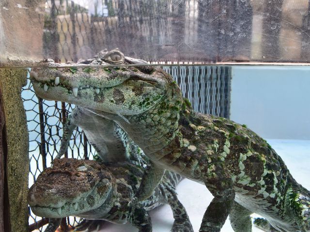 ���j_�M��o�i�i���j��