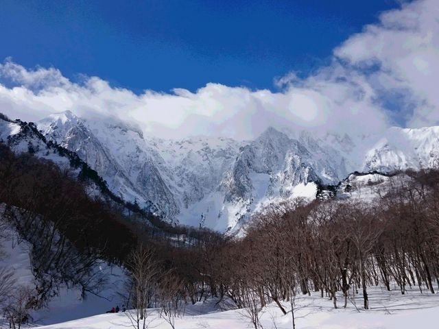 mqi1_tHXgEH[^[@݂Ȃ݃x[X