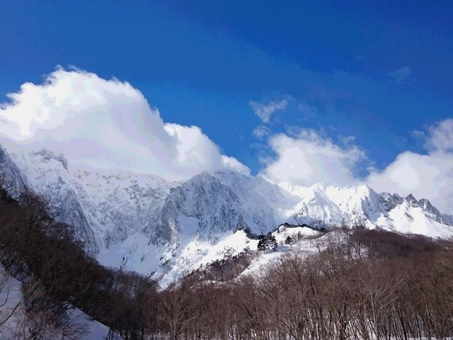 mqi2_tHXgEH[^[@݂Ȃ݃x[X