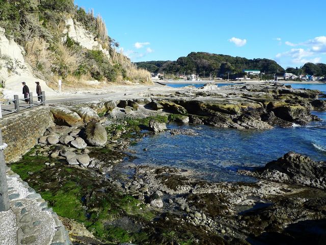 �V����1_�@�؍�V����