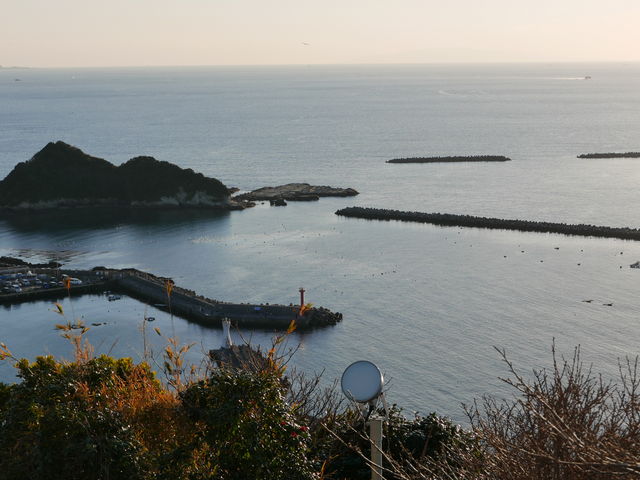 ]p̐Bc̑单RW]̓eʐ^1