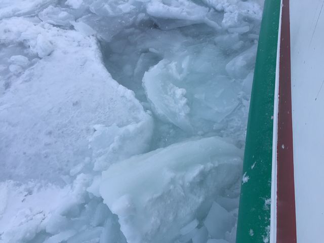 �I�z�[�c�N�C�̗��X