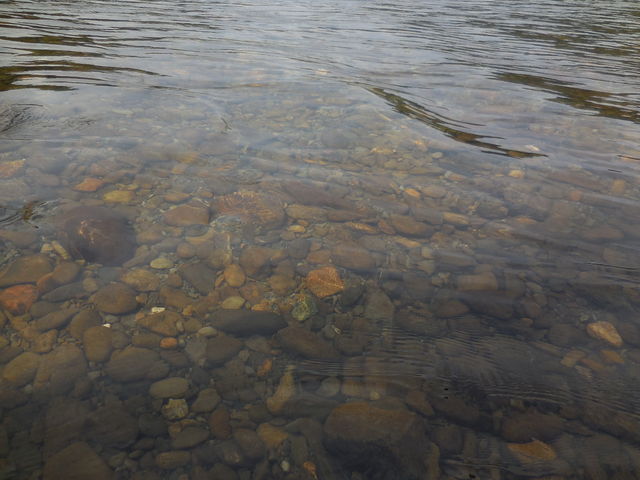 ��ꂪ�����ł����B_�l���\��ό��V���D