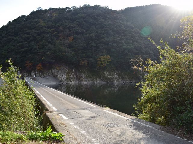 ������_���c�̒�����