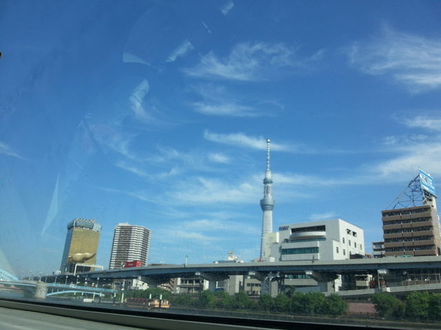 �D�����_�����s�ό��D�D