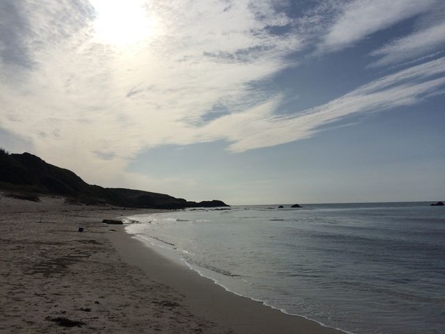 �C�݂ł�_�p����l�C������